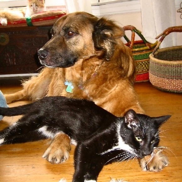 Meet your Posher, Redmontster. - Picture 4 of 15